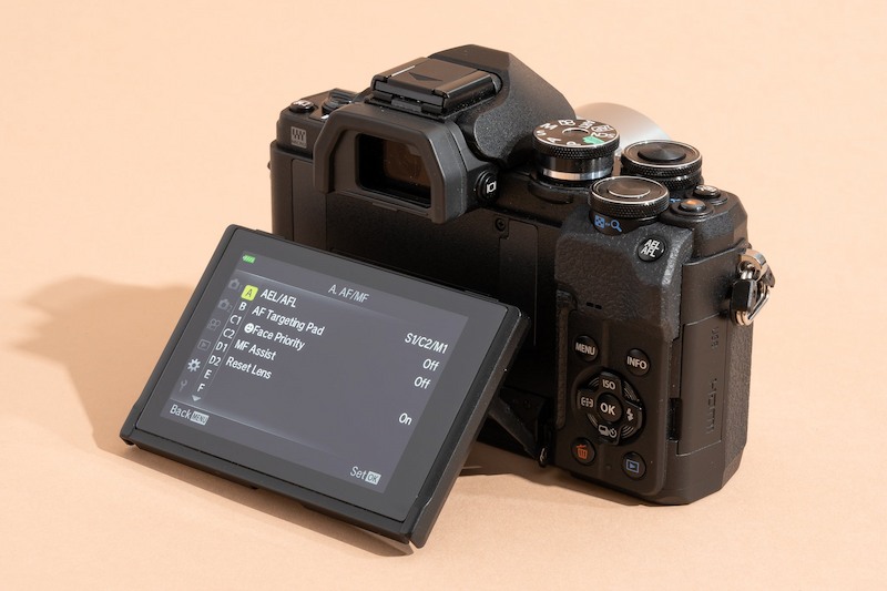 how does a mirrorless camera work